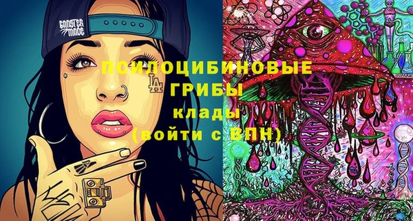 PSILOCYBIN Володарск