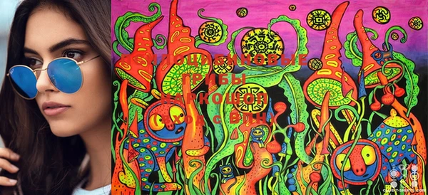 PSILOCYBIN Володарск