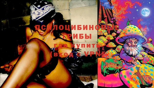 бошки Волоколамск