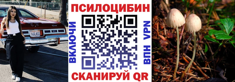 Псилоцибиновые грибы MAGIC MUSHROOMS  Купить закладки  Сатка 